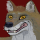 GreyFacePred