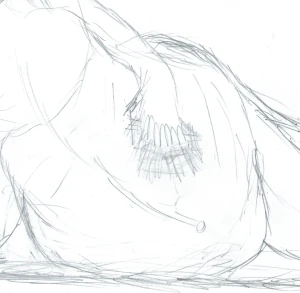 Sidge Sketch