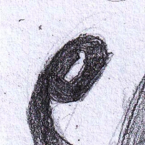 A Ghostly Drawing 