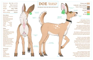 Rosalina / Doe Refsheet