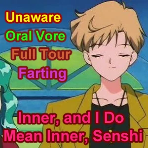 [COMMISSION] Inner, and I Do Mean Inner, Senshi