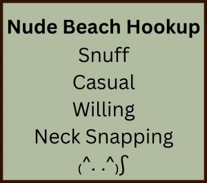 Nude Beach Hookup
