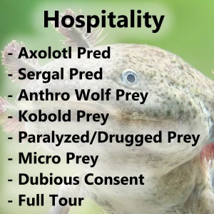 06 - Hospitality
