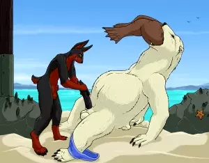 Inconsiderate sea lion #6
