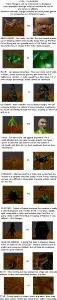 Vorelords Rules 010