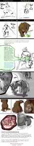 Infinity Vore Labyrinth: Room 4 - Owlbear