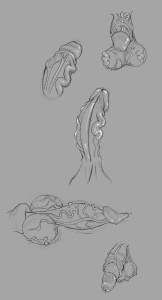 penis practice veiny stuf idk