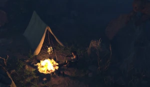 Alone in the Woods