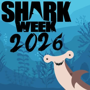 Happy Shark Week 2026