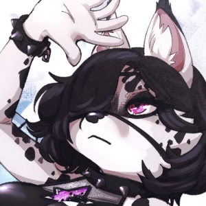 Beach Bomf Cat
