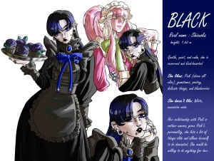 Model Sheet Black