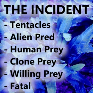 The Incident
