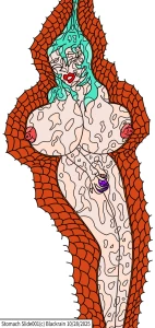Stomach Slid001