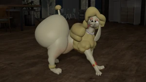 6/6