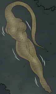 Last Date - Sample Panel 12