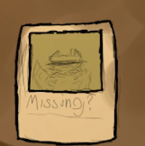 Missing Raccoon