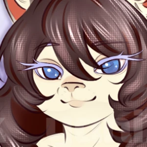 Adopt Ragdoll cat mommy open