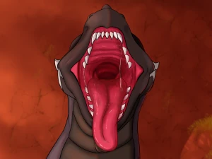 Dirt Derg maw.