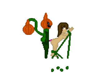 Jack O Vine Male