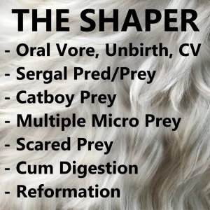11 - The Shaper