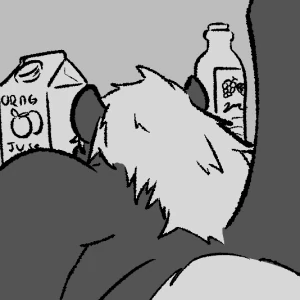 Midnight Snack