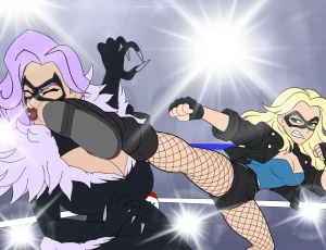 Blackcat VS Black Canary PAGE 3