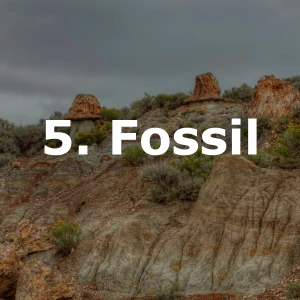 Voretober 2026 - 5.Fossil