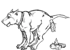 Pit bull poop