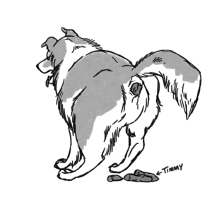 "Lassie, where's Timmy?"