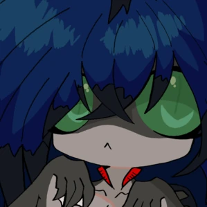 1k Nori