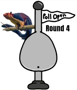 Round 4: (Round 4: Aegirocas