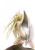 The goddess Lucerna's deadly trial