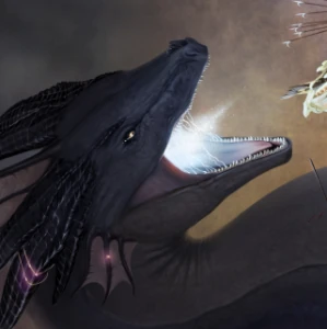 Dragon Fight